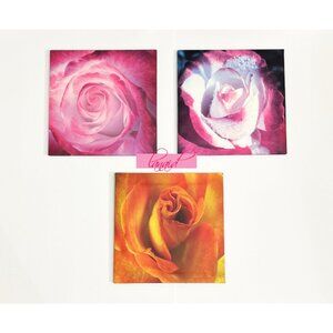 BUNDLE 3 Rose Floral Flowers Pink Orange Square Wall Hangings Art Mounts Lot Set